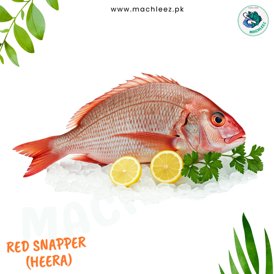 Red Snapper (Heera)