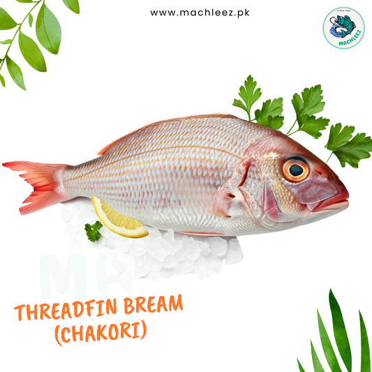 Threadfin Bream (Chakori)