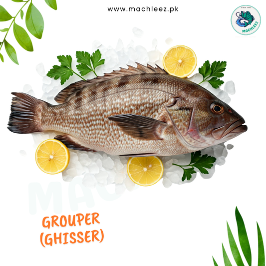 Grouper (Ghisser)