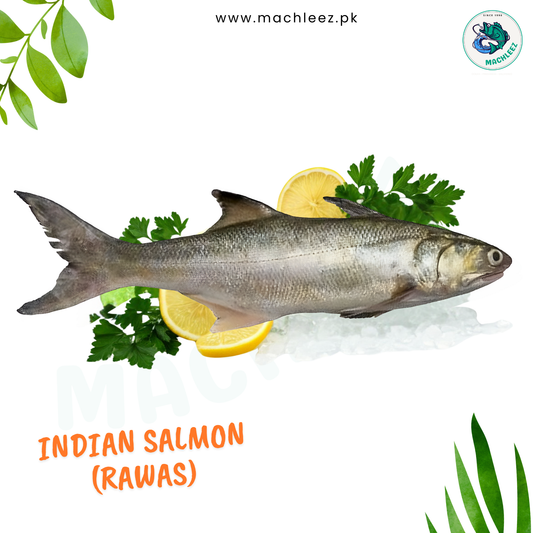 Indian Salmon (Rawas)