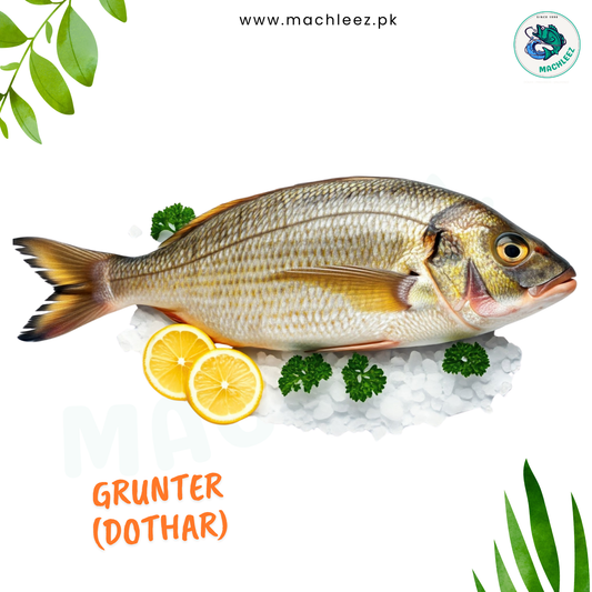 Grunter (Dothar)