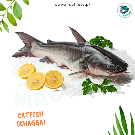 Catfish (Khagga)