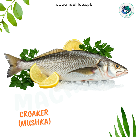 Croaker (Mushka)